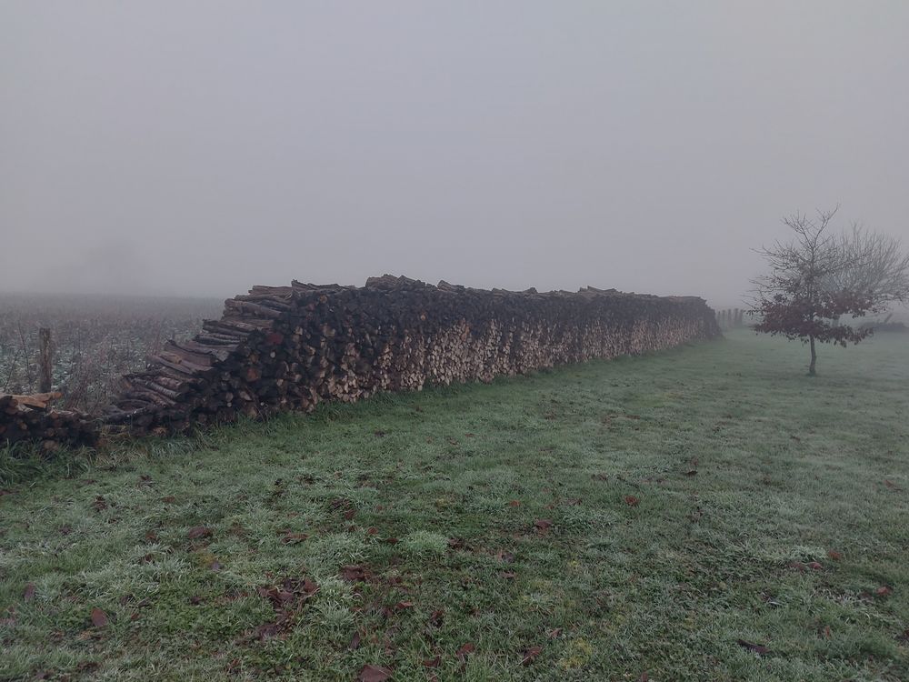 BOIS DE CHAUFFAGE 45 Genevri�res (52)