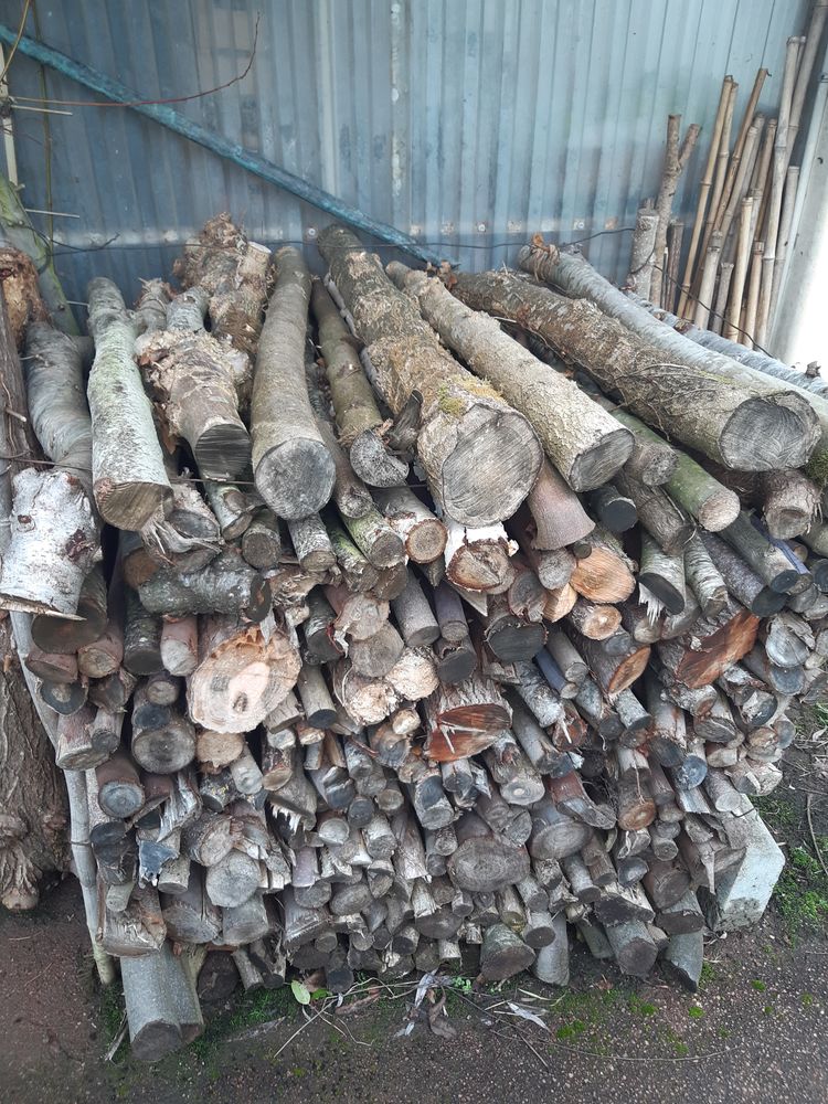 Bois de chauffage 70 Bouchemaine (49)