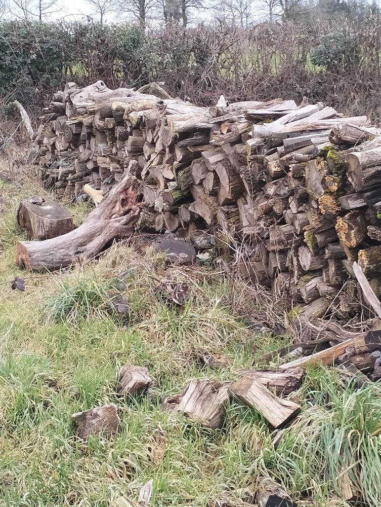 Bois de chauffage 280 Roannes-Saint-Mary (15)
