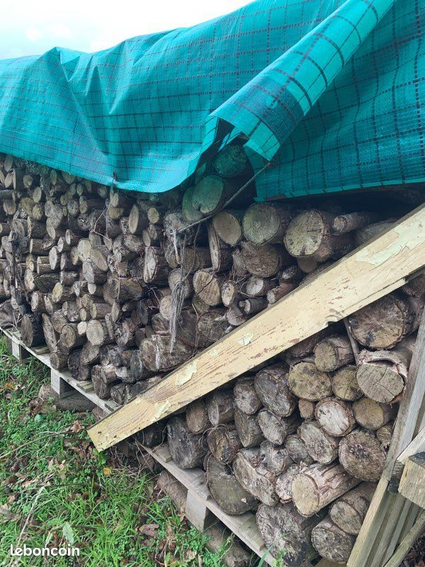 bois de chauffage 80 Plouay (56)
