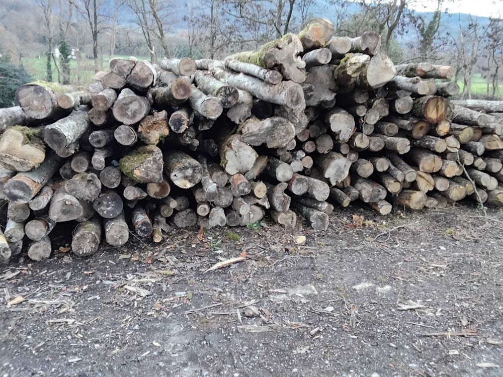 Bois+de+chauffage 95 B�ziers (34)