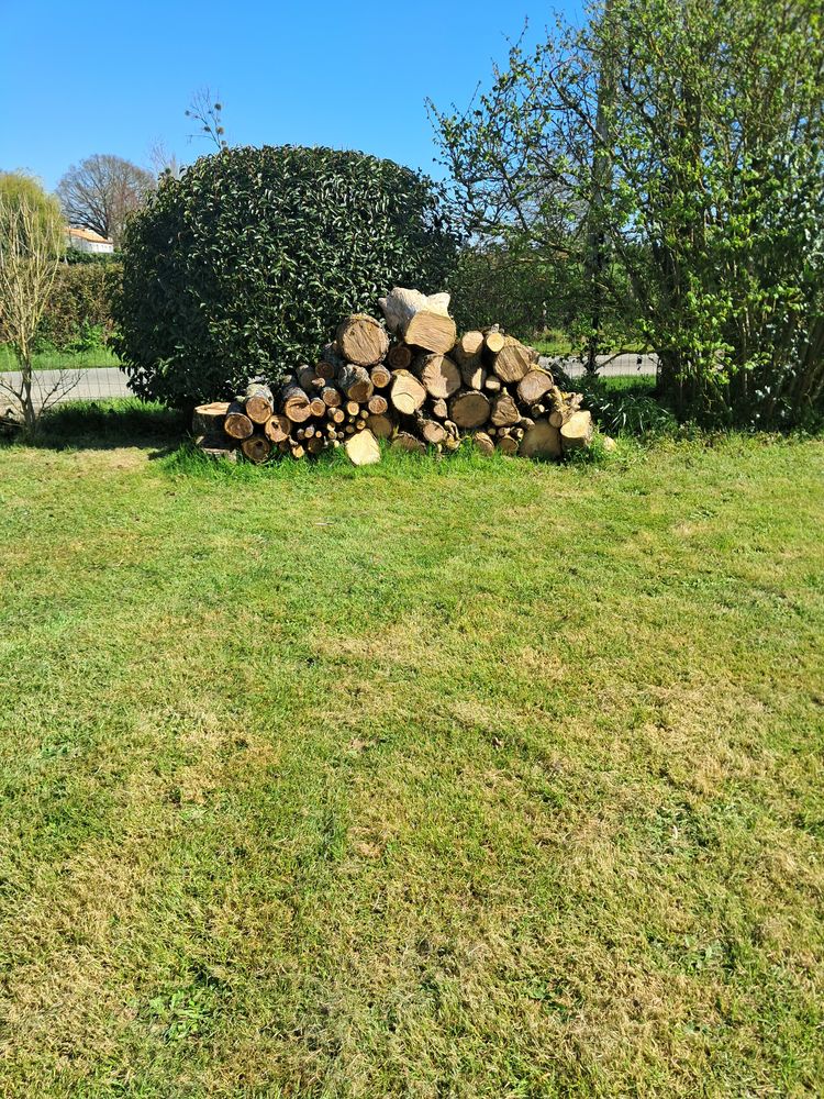 Bois  de chauffage 60 Saint-L�ger-sous-Cholet (49)