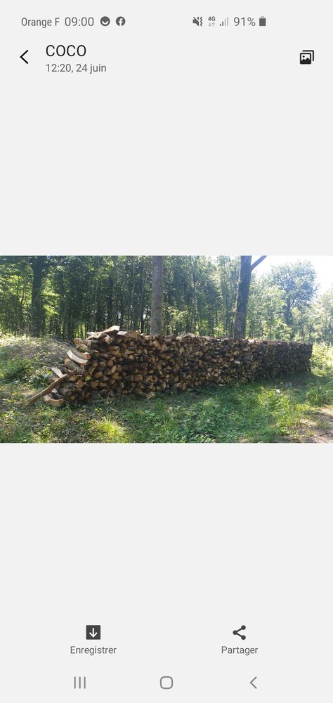 Bois ch�ne 0 Vincent (39)