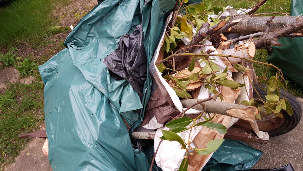 Bois diff�rentes tailles et grosseurs 10 Taverny (95)