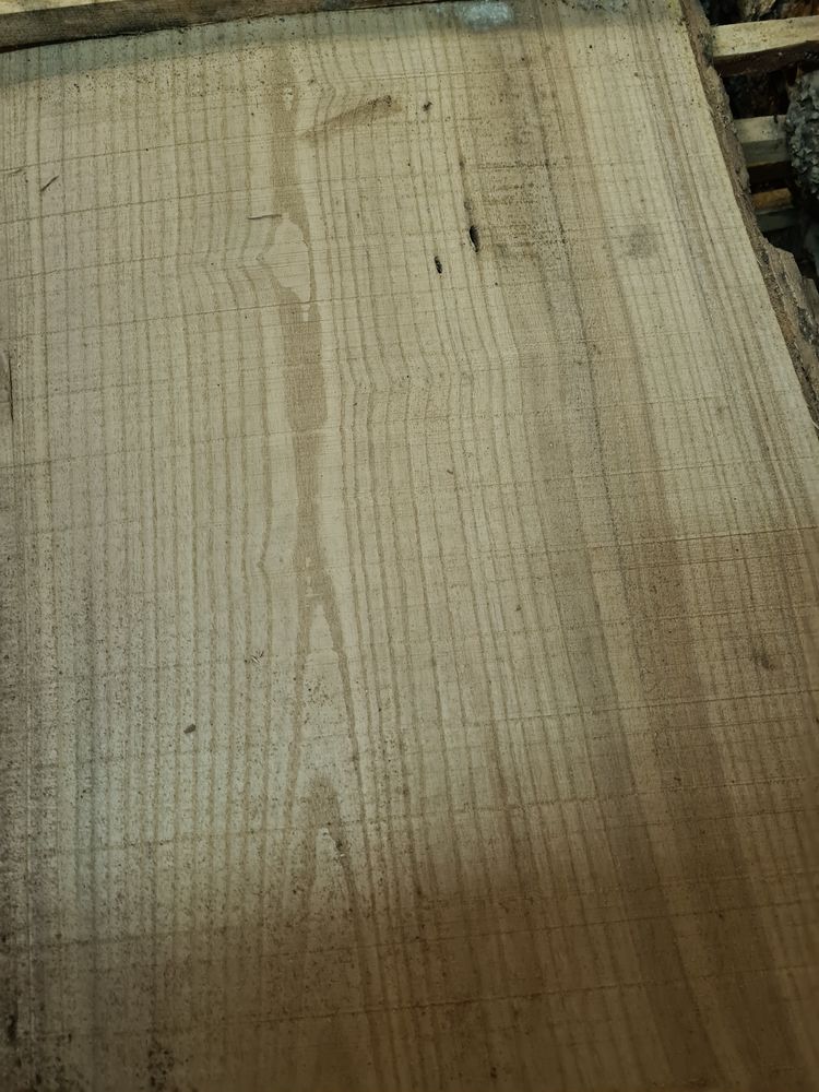 Bois exotique : CATALPA 420 Chantillac (16)