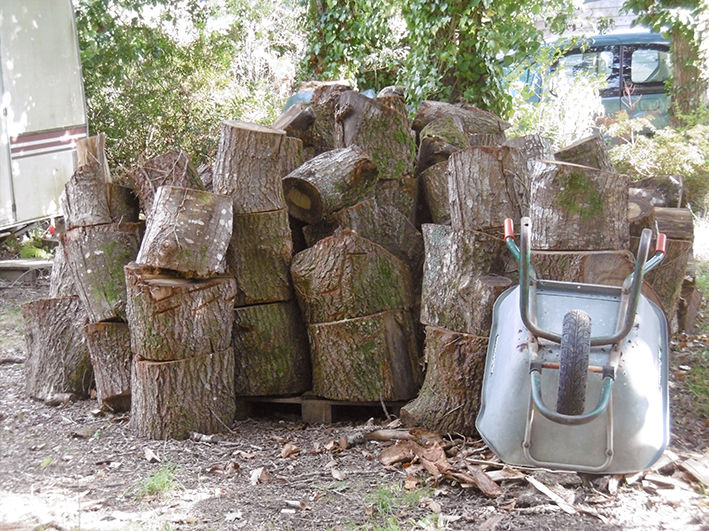 bois � fendre 0 Land�vennec (29)