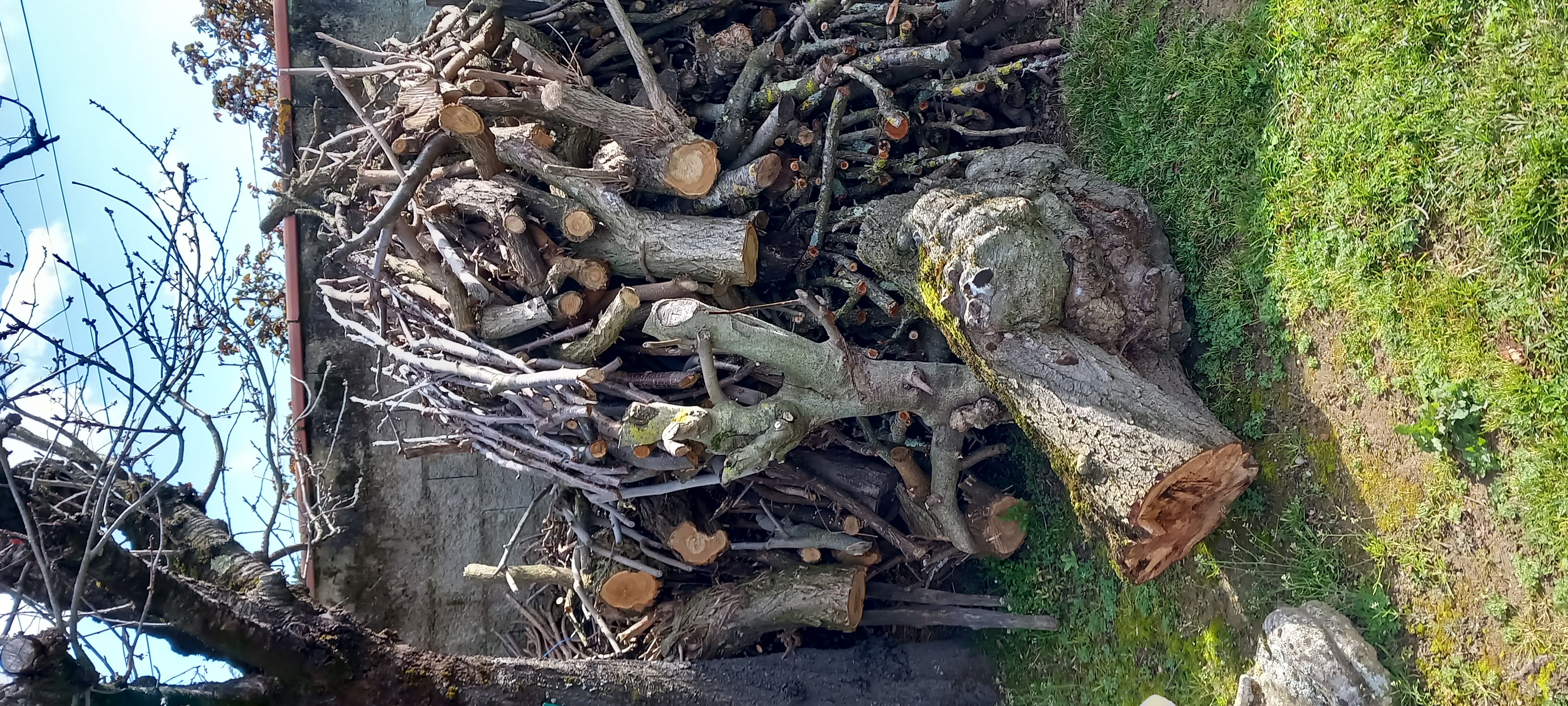 bois moyen issu d elagage 200 La Tour-du-Crieu (09)