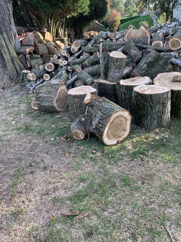 Bois 45 Qu�r�naing (59)