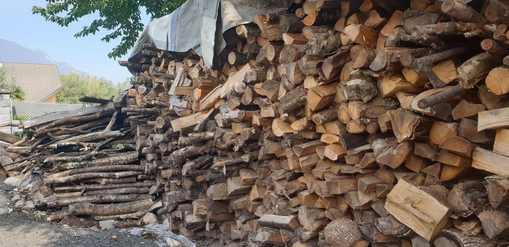 Bois 50 cm 85 La Motte-Servolex (73)