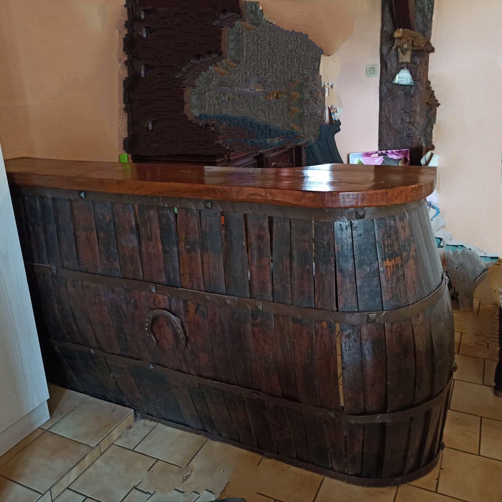 bar en bois 130 Ceaulmont (36)