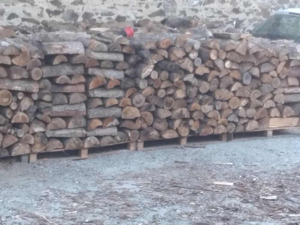 de bois 75 Saint-Laurent-de-la-Plaine (49)