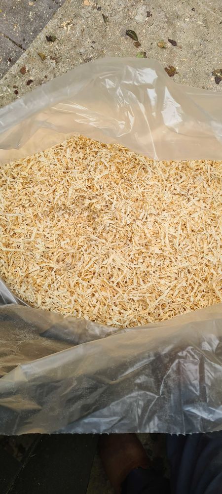 bois 4 Tignieu-Jameyzieu (38)