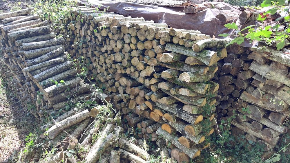 Bois sec 60 Dompierre-sur-Besbre (03)