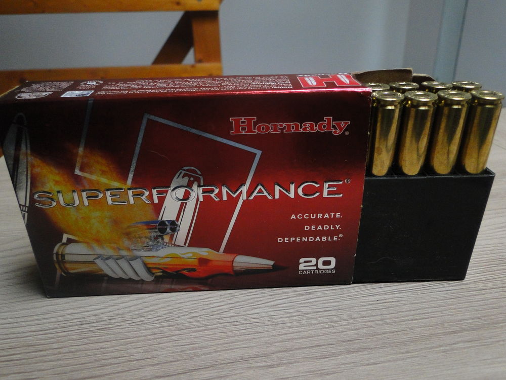 Boite de 20 balles 7x64 mm 162gr SST Superformance Hornady 55 Chamb�ry (73)