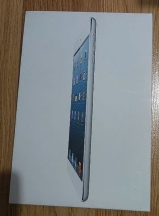 Boite ipad mini 16 GB silver 7 Beauchamp (95)
