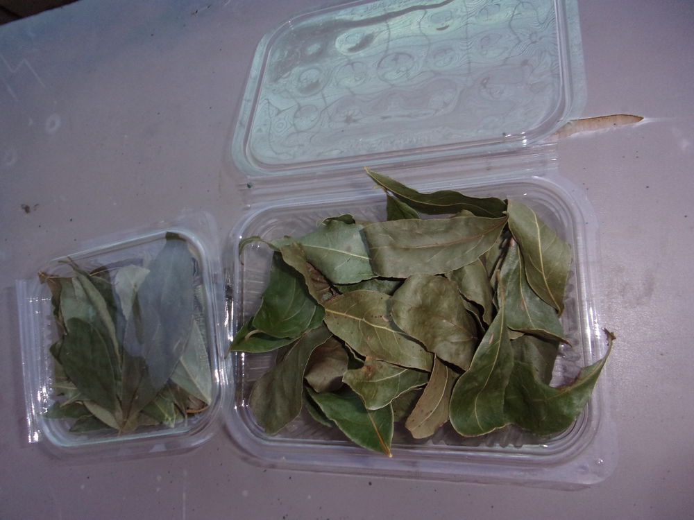 Boite de laurier 2 Cousance (39)