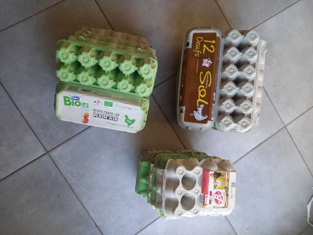 Lot de 51 bo�tes d'oeuf pour 480 oeufs 6 Boisset-et-Gaujac (30)