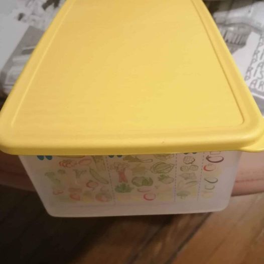 BO�TES PLASTIQUES FRIGO POUR LEGUMES 5 Lanne (65)