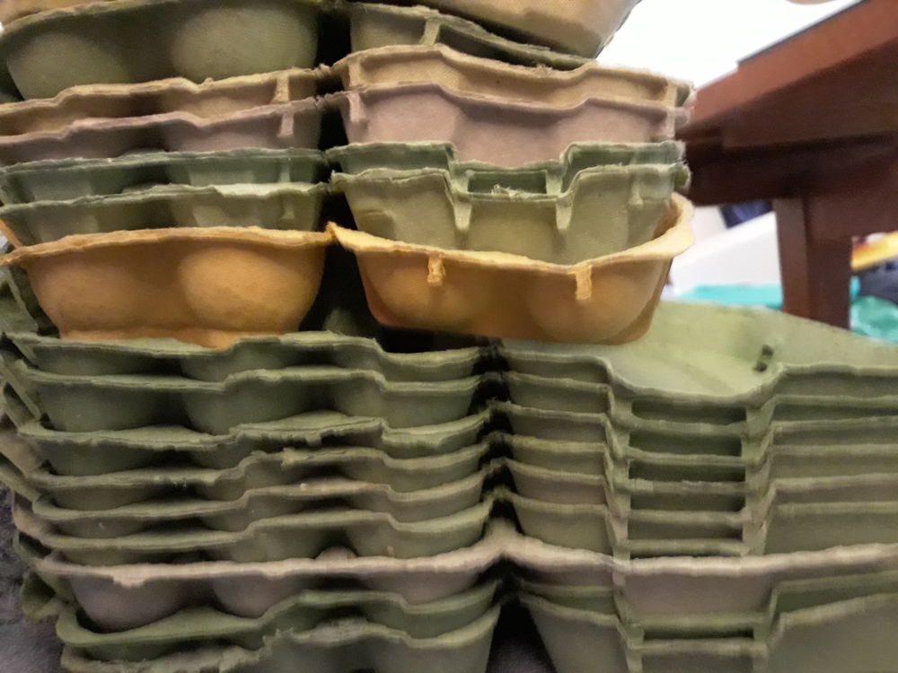 14 bo�tes d'?ufs 2 Toulouse (31)