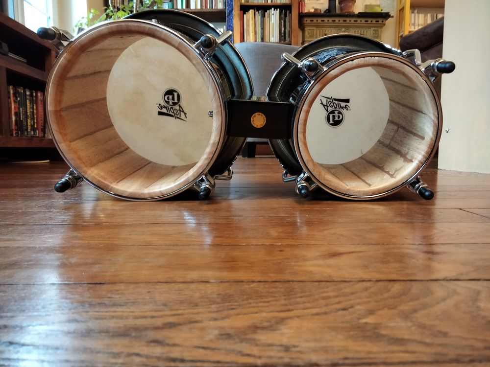 Bongo LP LPA602SNL Santana Lion 110 Paris 13 (75)