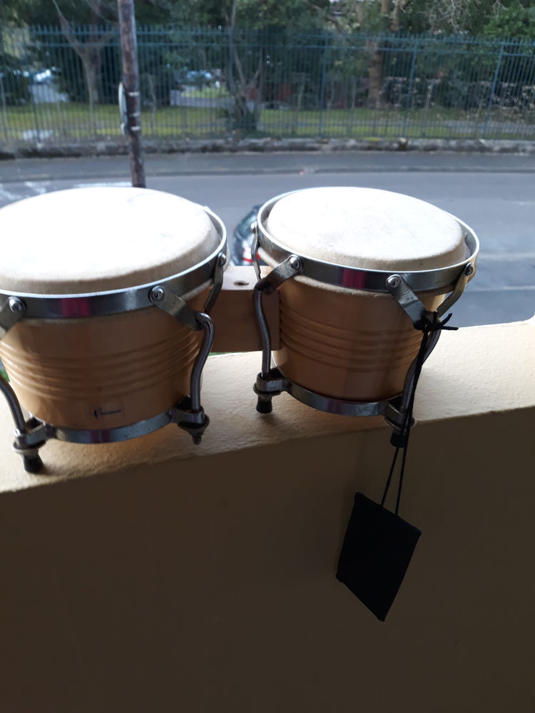 bongo 40 Biarritz (64)