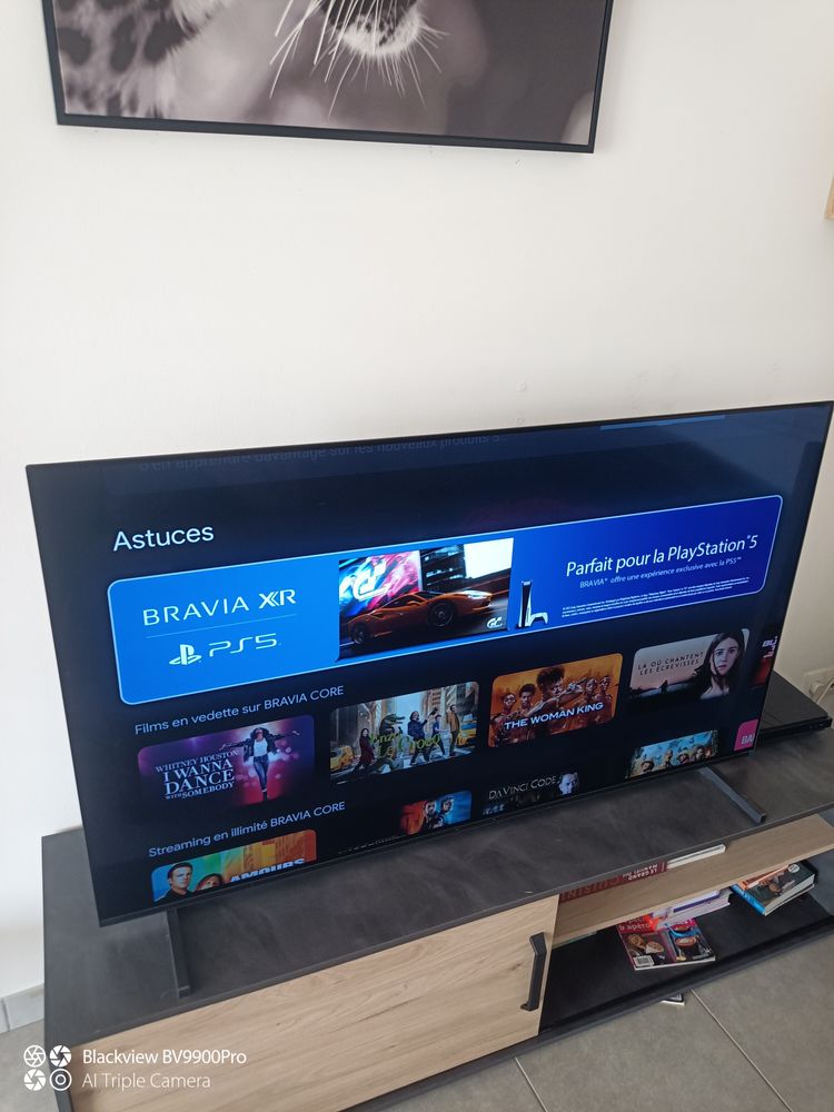 Bonjour, t�l�vision Sony bravia XR excellent �tat 55  800 Ch�tellerault (86)