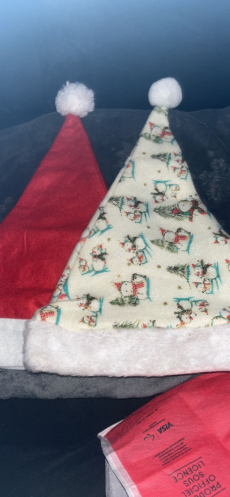 lot 2 bonnet no�l 1 Beauvais (60)