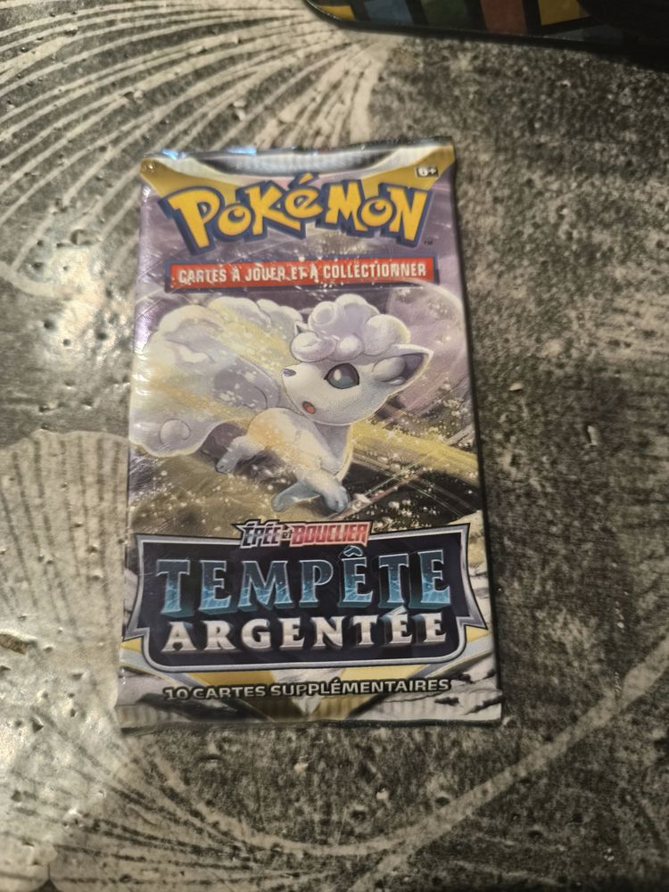 Booster pok�mon temp�te argent�e 10 La Guerche-de-Bretagne (35)