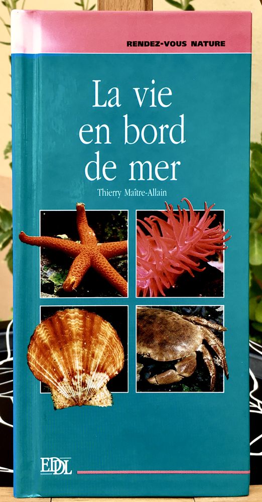 La vie en bord de mer ; Livre reli� Neuf,  160 pages 3 L'Isle-Jourdain (32)