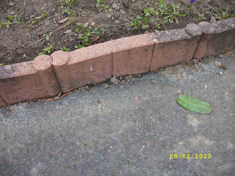 BORDURE DE JARDIN 2 Saint-D�sir (14)