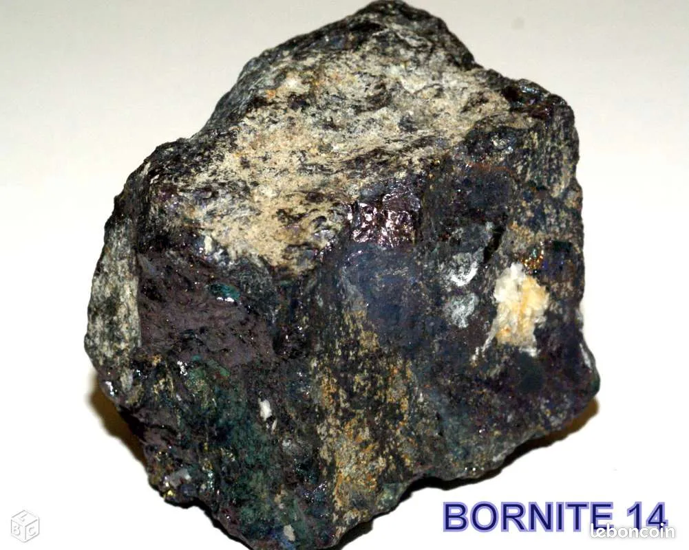 BORNITE 14 : Min�raux de collection 17 Saint-M�dard (16)