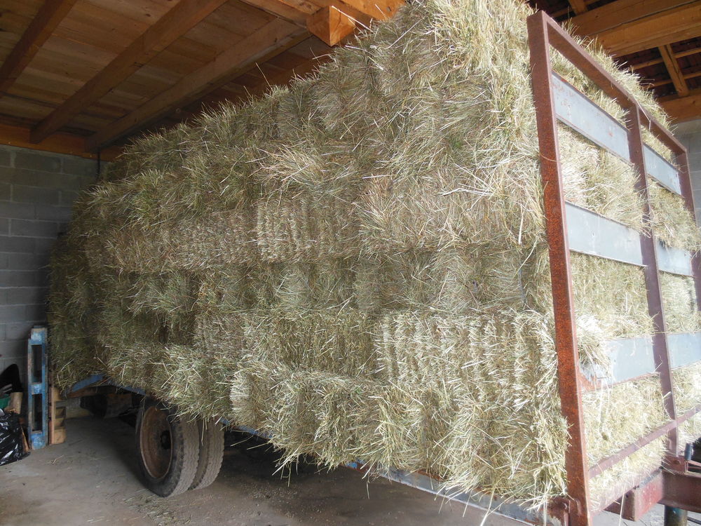 Bottes de foin pour paillage ou protection 150 Dortan (01)