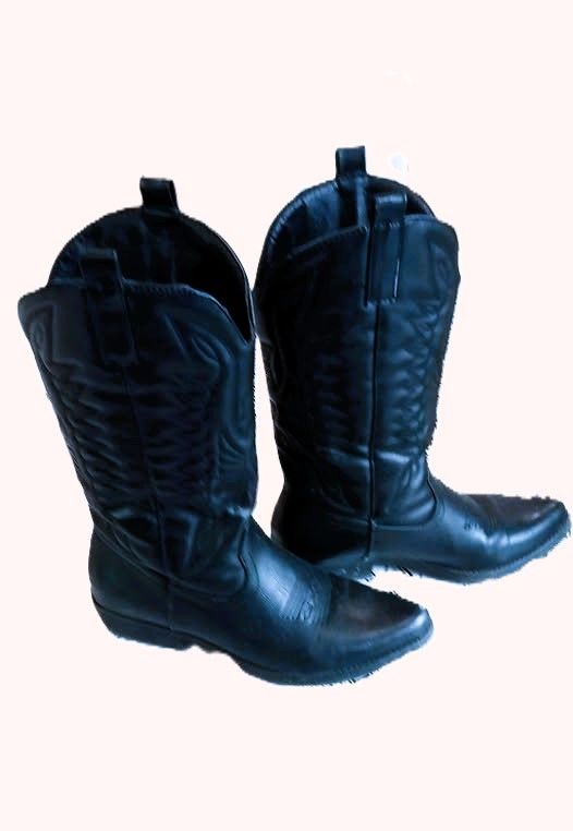 Bottes style santiag 10 Violaines (62)