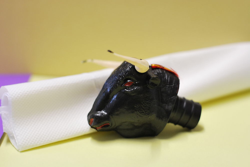 bouchon d�coratif 2 Bauvin (59)