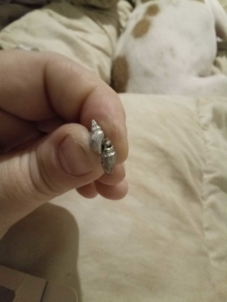 boucle d'oreille fantaisie  long coquillage 1 Blessy (62)