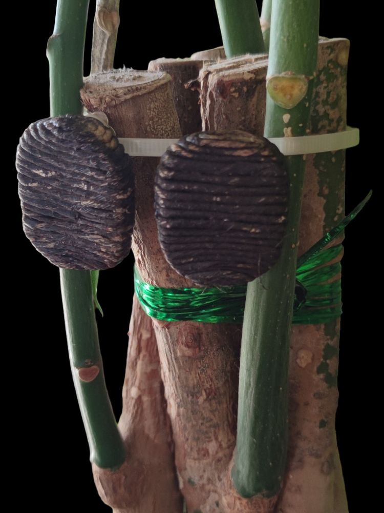 boucles d'oreilles clips 6 Bussy-Albieux (42)