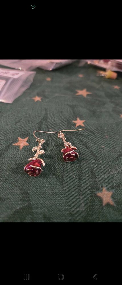 boucles d'oreilles 5 Le Chesne (27)