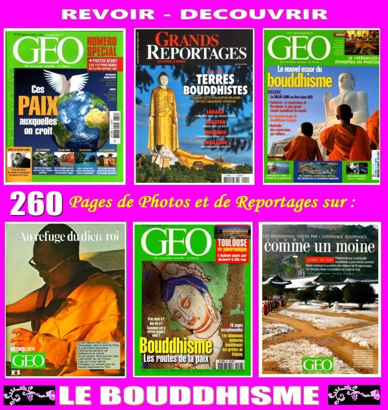 LE BOUDDHISME - d�couverte - DALA� LAMA 18 Lyon 5 (69)