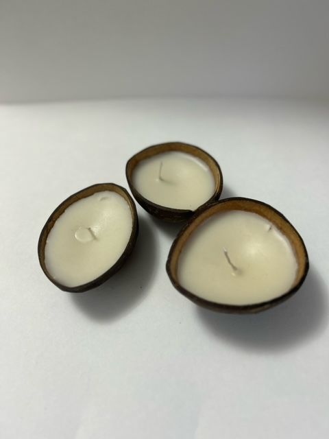 bougie en coque coco parfum vanille 2 Asni�res-sur-Seine (92)