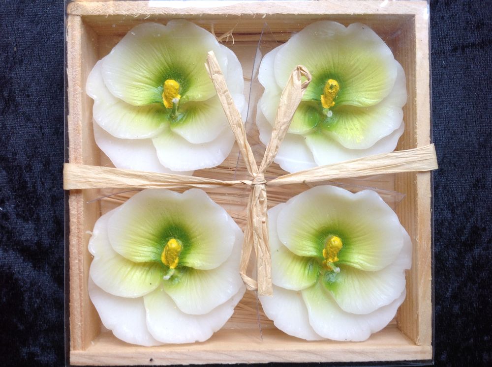 4 BOUGIES FLEURS PENS�ES BLANCHE NEUVE Envoi Possible 3 Tr�gunc (29)