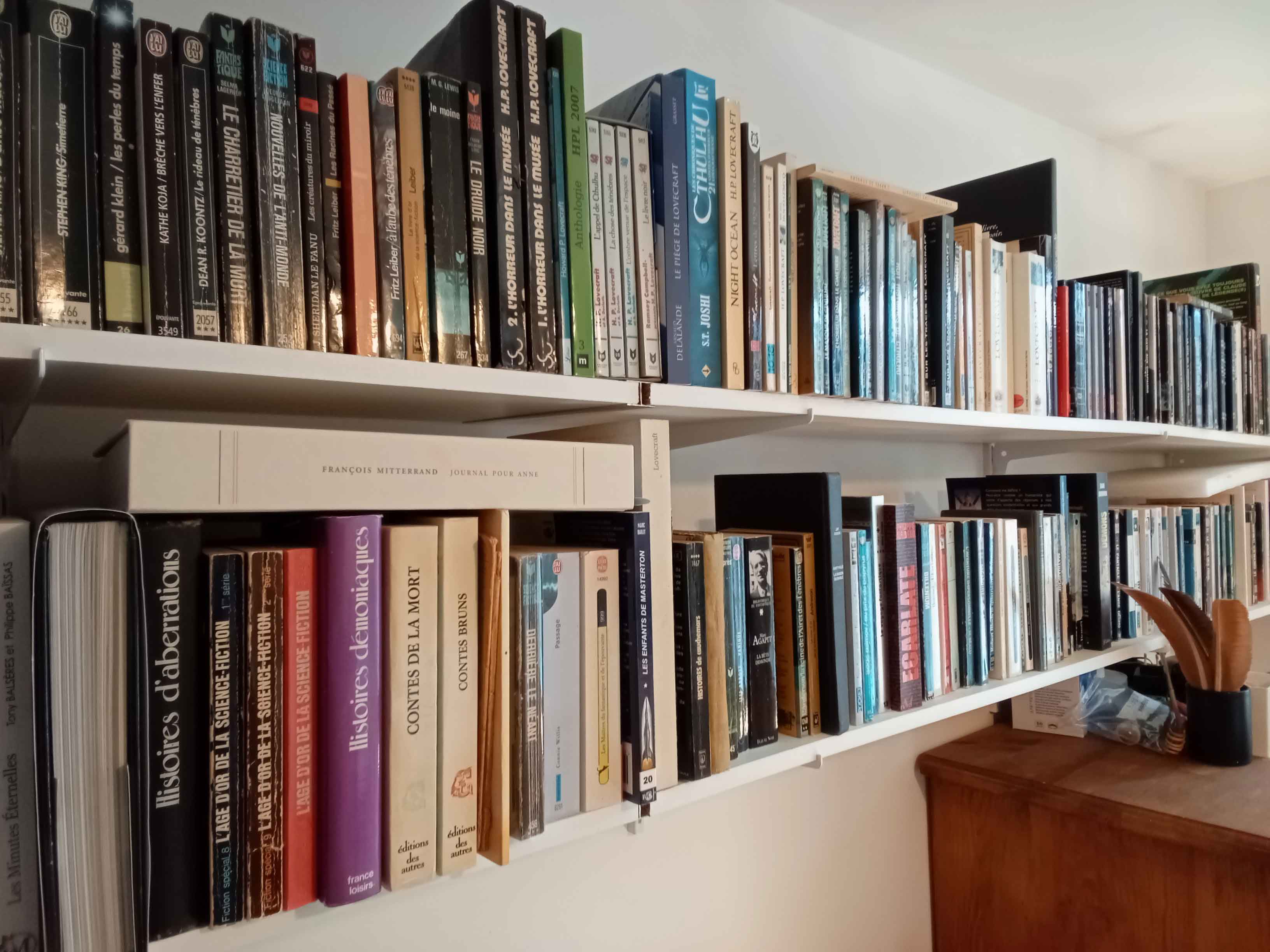 Lot de 360 Bouquins. genre Fantastique et fiction. Rares. 350 Carlipa (11)