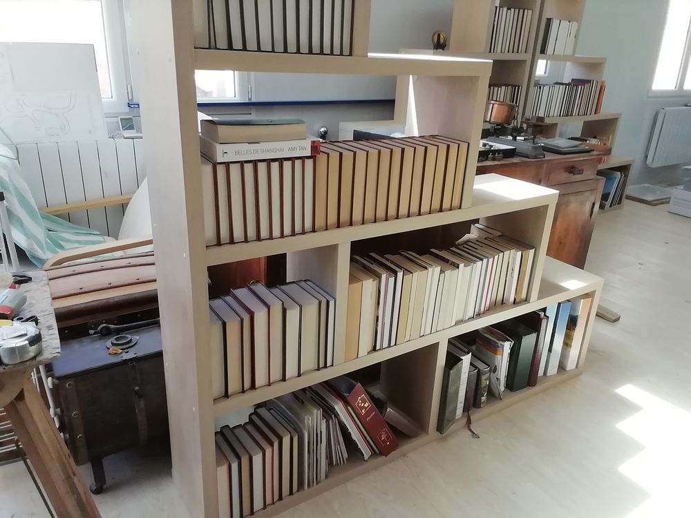 lot de bouquins et livres 0 Saint-Nazaire-d'Aude (11)