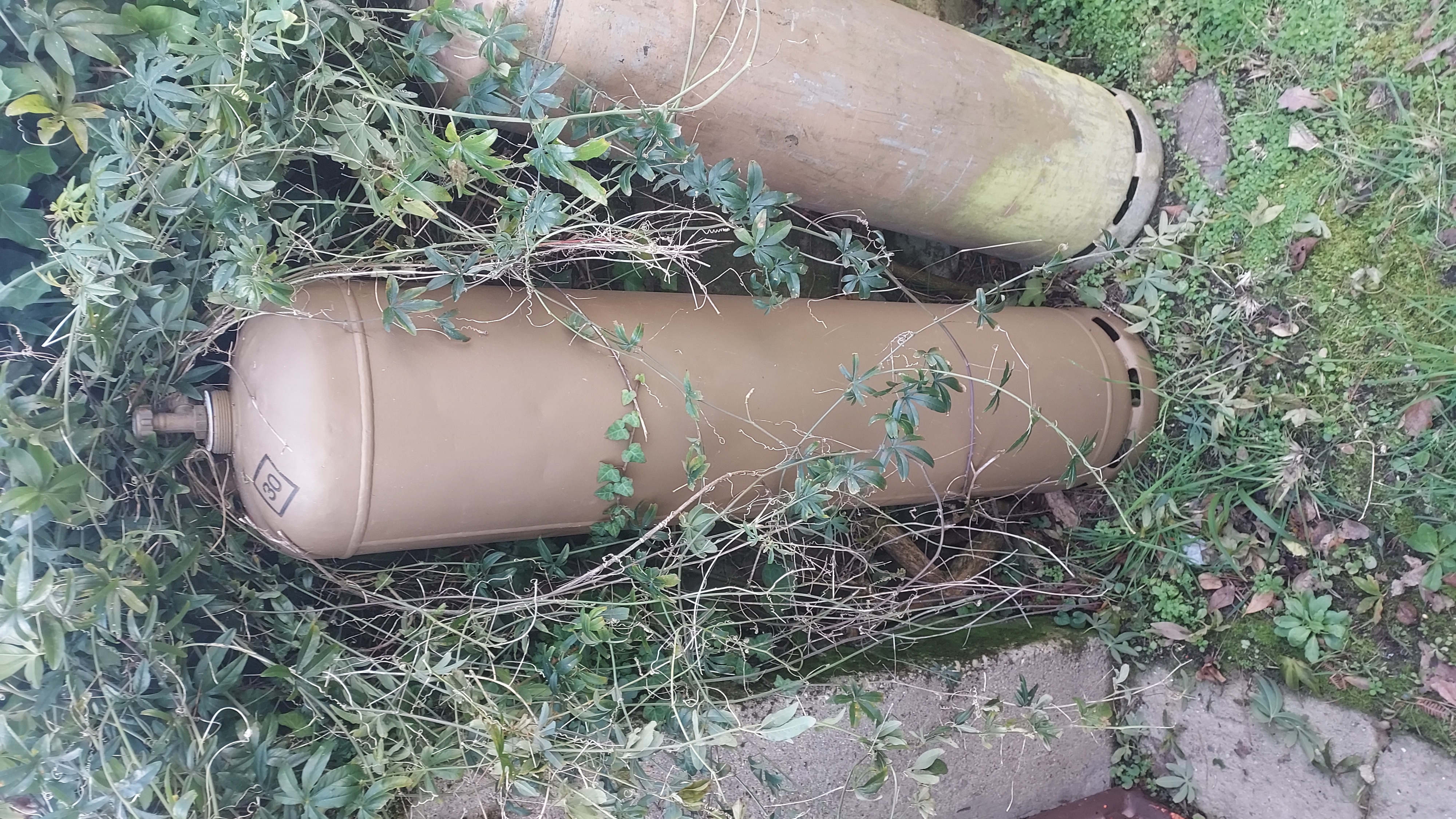  bouteilles de gaz 35 L 30 P�nestin (56)