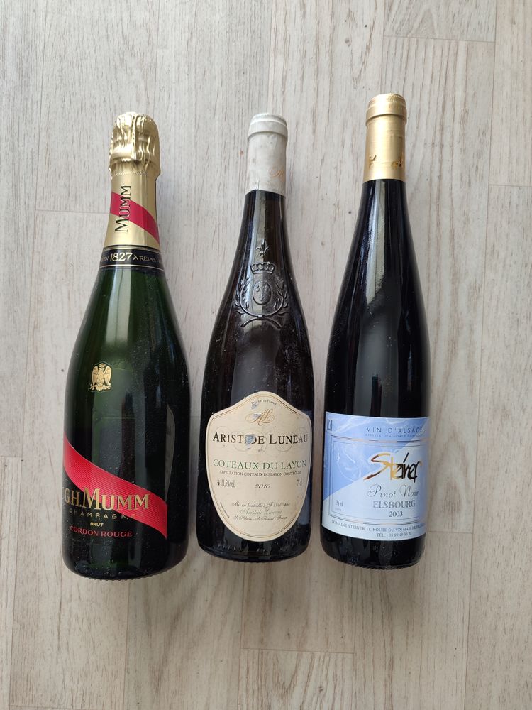 Bouteilles de vin 10 Saint-Brieuc (22)