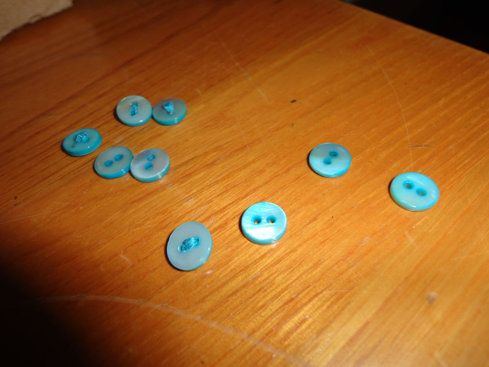 BOUTON VERT D'EAU 2 Doussard (74)