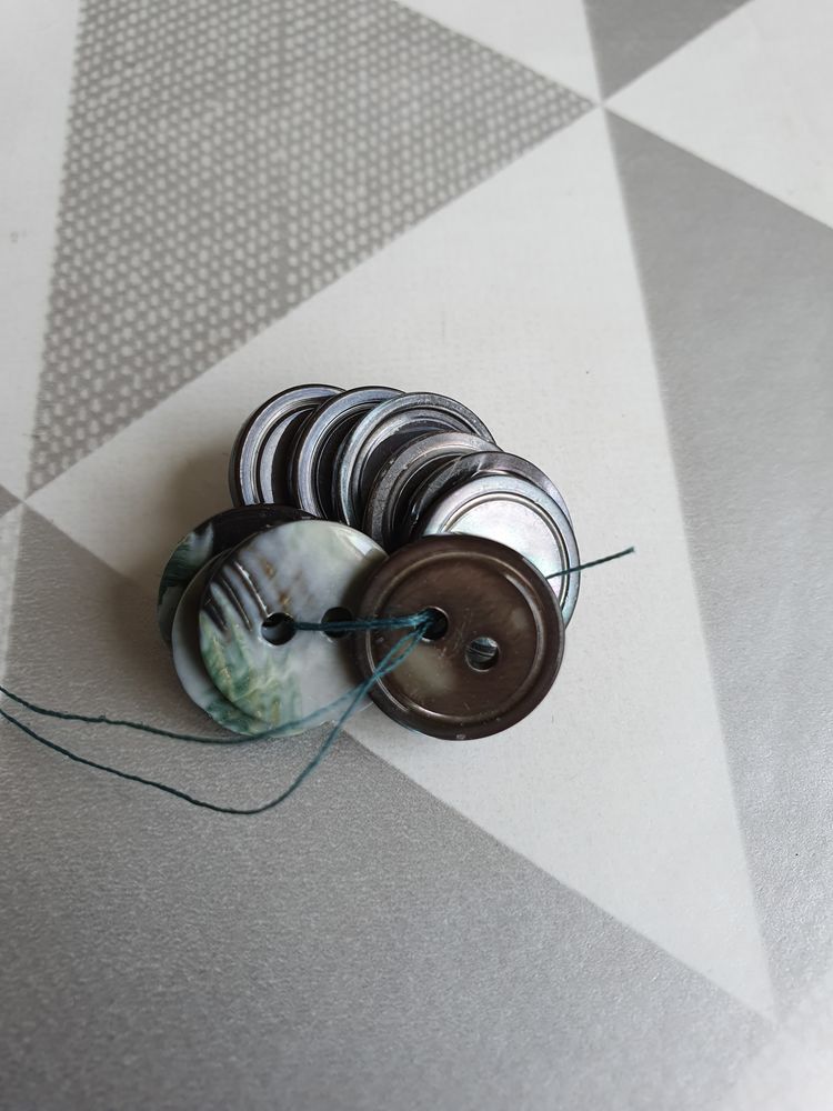 Boutons iris�s 5 Fontenay-sous-Bois (94)