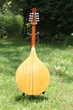  bouzouki Instruments de musique