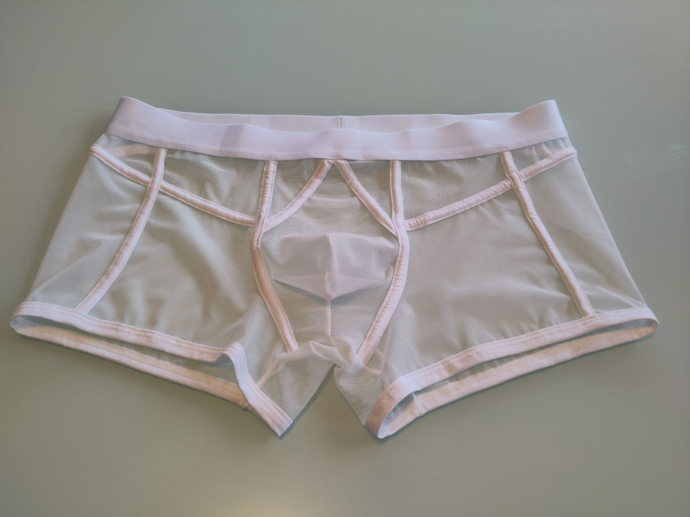 Boxer blanc transparent taille M 7 Bourg-Blanc (29)