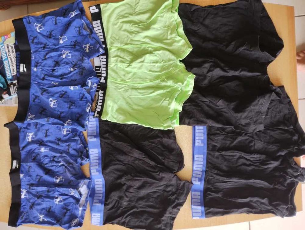 boxer puma 9 Le Pin-la-Garenne (61)