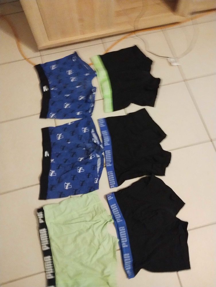 boxer 10 Le Pin-la-Garenne (61)